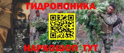 МДПВ Можга