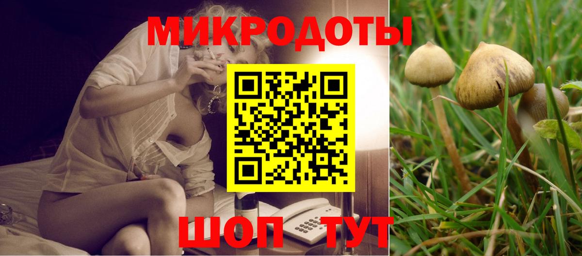 Псилоцибиновые грибы мухоморы  Псилоцибиновые грибы Psilocybine cubensis  Вход с VPN  Ухта 